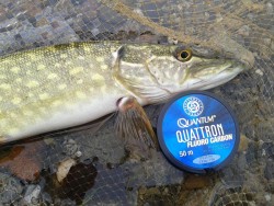 fluorokarbn quantum quattron FC  0-20mm / 50m