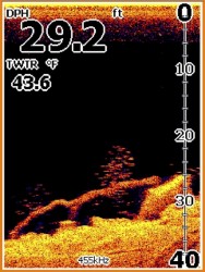 Ryby stromom pri snman s frekvenciou 455kHz