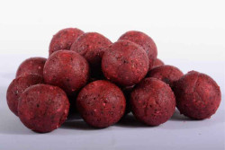 20mm Boilies - kapr sen - 0,5kg