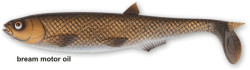 Gumov� n�straha -  Yolo Pike Shad - 22cm / 60g