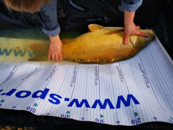 Rybársky meter podložka 100x50 cm + uvoľňovač háčikov