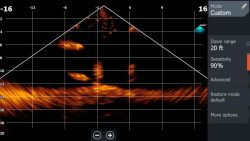 Sonda Lowrance LiveSight