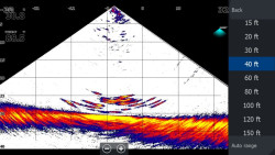 Sonda Lowrance LiveSight