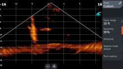 Sonda Lowrance LiveSight