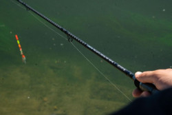  Matchov� pr�t Sportex Rapid RS-2 Pellet Waggler v plnej akcii