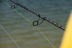 Detail o�iek pr�tu SPORTEX Top Cat Spin CS-2