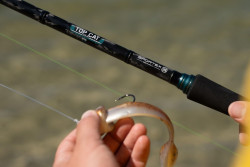 Pr�t SPORTEX Top Cat Spin CS-2 s n�strahou